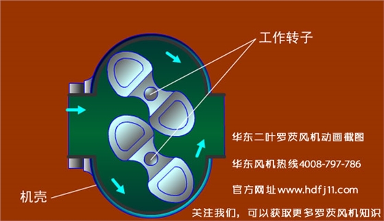 羅茨風(fēng)機(jī)的動(dòng)畫(huà)截圖.jpg