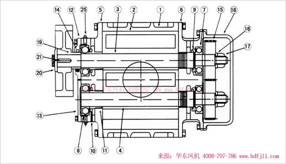 三葉羅茨風機內部結構圖-縱切圖.jpg