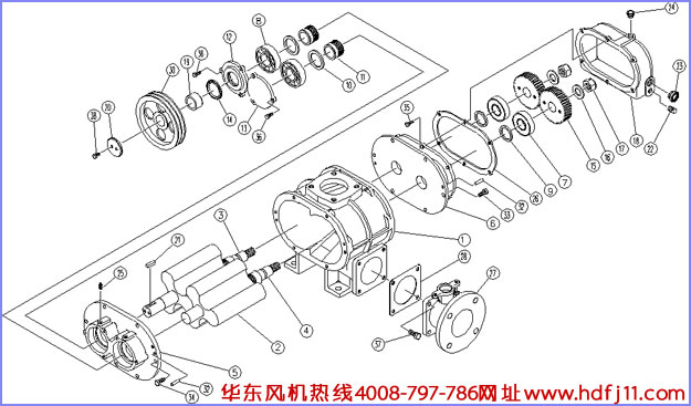 羅茨風(fēng)機結(jié)構(gòu)圖.jpg