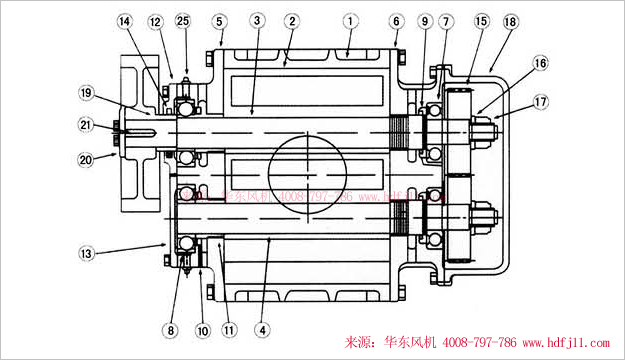 三葉羅茨風機內(nèi)部結(jié)構圖-縱切圖.jpg